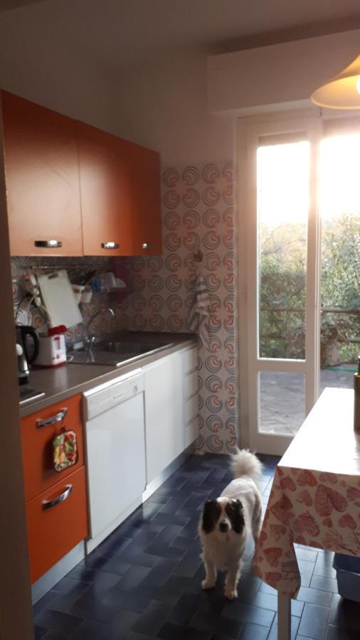 Villa Giulia Al Mare Castiglione della Pescaia Dış mekan fotoğraf