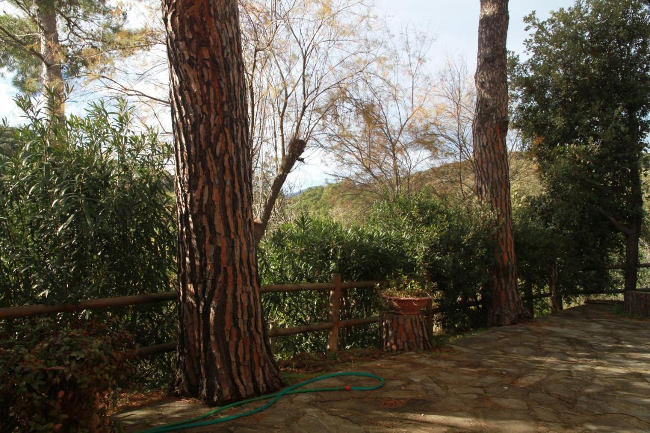Villa Giulia Al Mare Castiglione della Pescaia Dış mekan fotoğraf