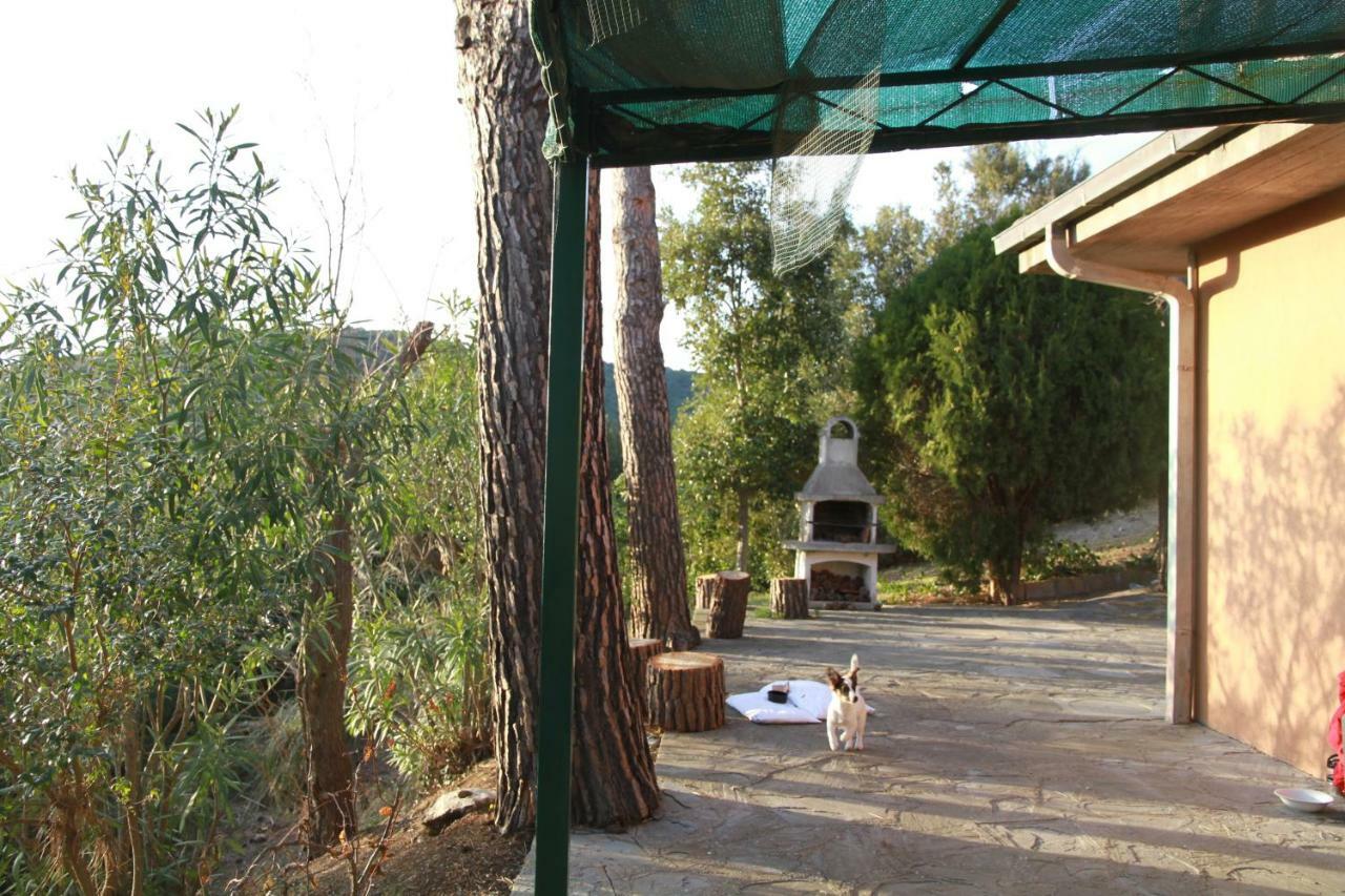 Villa Giulia Al Mare Castiglione della Pescaia Dış mekan fotoğraf