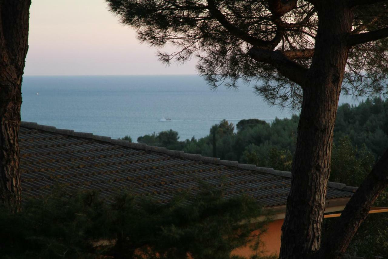 Villa Giulia Al Mare Castiglione della Pescaia Dış mekan fotoğraf