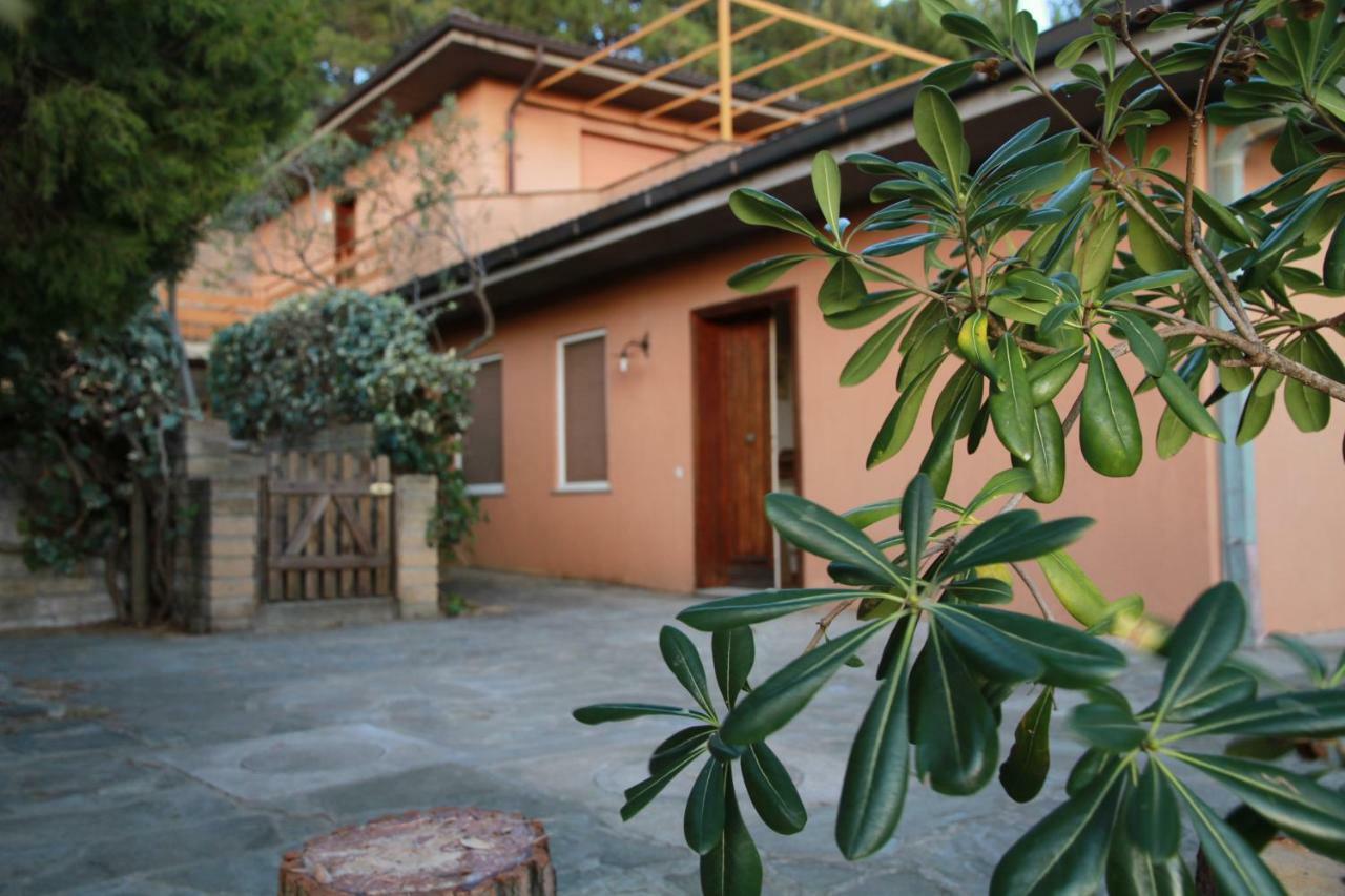 Villa Giulia Al Mare Castiglione della Pescaia Dış mekan fotoğraf